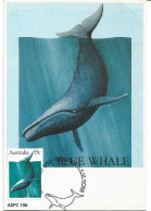 AUSTRALIE. Baleine Bleue. CARTE MAXIMUM  (Australian Whales) - Walvissen