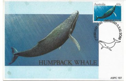 AUSTRALIE. Baleine à Bosse . CARTE MAXIMUM  (Australian Whales) - Whales