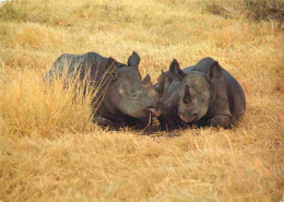 Tanzanie - Rhinocéros - Black Rhinos - Animaux - CPM - Voir Scans Recto-Verso - Tanzania