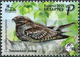 Belarus 2021. European Nightjar (Caprimulgus Europaeus) (MNH OG) Stamp - Belarus