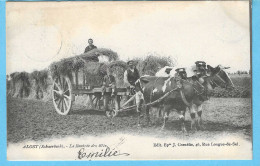 Aalst-Alost (Schaerbeek)-1903-De Oogst-La Rentrée Des Blés-Attelage De Bœufs-Uitg.Epse J.Cornelis ,Aalst-Très Rare - Aalst