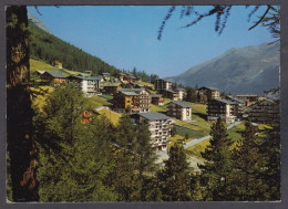 129689/ SAAS-FEE, Wildi - Saas-Fee