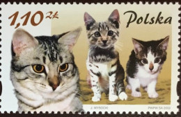 POLAND - 2002 - FAUNA - ANIMALS -  CAT - CATS - GATTI - 1 V - MNH - - Hauskatzen
