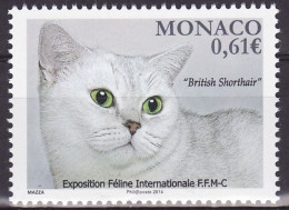 MONACO - 2014 - FAUNA - ANIMALS -  CAT - CATS - GATTI - 1 V - MNH - - Domestic Cats