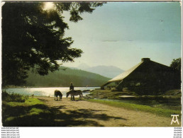 D65  PAYOLLE  Hôtel ARCOCH Le Lac Et Le Pic Du Midi - Campan