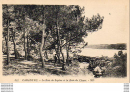 D29  CARANTEC  Le Bois De Sapins Et La Baie Du Clouet   ..... - Carantec