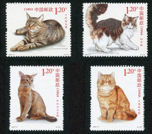 CHINA - 2013 - FAUNA - ANIMALS -  CAT - CATS - GATTI - 4 V - MNH - - Domestic Cats