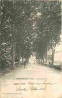 82 - Nègrepelisse - Avenue Carnot - Animée - Précurseur - Oblitération Ronde De 1904 - CPA - Voir Scans Recto-Verso - Negrepelisse