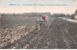 60 - LIANCOURT - SAN32282 - Etablissements BAJAC - Sarclage Des Betteraves Et Semis De Nitrate  - Agriculture - Liancourt