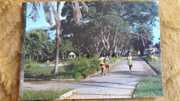 CPM GUYANE CAYENNE LE JARDIN BOTANIQUE ED DELABERGERIE 519 1986 - Cayenne