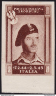 1946 CORPO POLACCO, N° 8Ba 2z. Bruno Cioccolato Scuro CARTA SPESSA (*) - 1946-47 Corpo Polacco