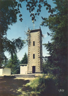 *CPM - 88 - BRUYERES - Le Mirador Du Mont Avison - Bruyeres