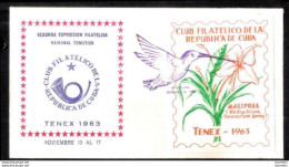 575  Hummingbirds - 1963 - Special Cancellation - Cb - 7,50 - Lettres & Documents