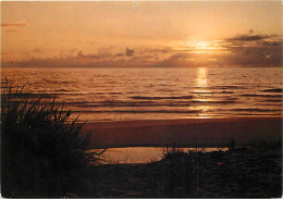 Coucher De Soleil - CPM - Voir Scans Recto-Verso - Hold To Light