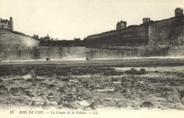 BOIS DE CISE -  LA COUPEE DE LA FALAISE - Bois-de-Cise