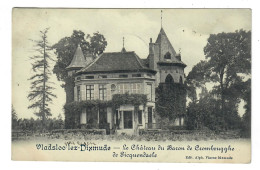Vladslo  Diksmuide  Le Château Du Baron De Crombrugghe De Picquendaele    Edit Viane Dixmude   Verstuurd Door De Baron ! - Diksmuide