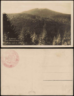 Ansichtskarte  Böhmerwald ŠUMAVA Javor (1458m) U Žel. Rudy, 1930 - Unclassified