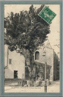 CPA (83) SALERNES - Thème: ARBRE - Aspect De L'Ormeau Légendaire En 1914 - Plaque émaillée BYRRH - Salernes