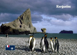 TAAF Kerguelen Islands UNESCO Desolation Islands Penguins New Postcard - TAAF : Territori Francesi Meridionali