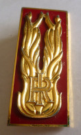 INSIGNE RI - REPUBLIQUE ITALIENNE - TURCO NAPOLI - Fixation Type Pin's - Esercito