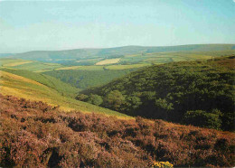 Angleterre - Dunkery Beacon From Porlock Common - A View Of Dunkery Beacon - Somerset - England - Royaume Uni - UK - Uni - Other & Unclassified