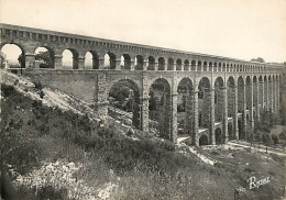 13 - Roquefavour - L'Aqueduc - CPSM Grand Format - CPM - Voir Scans Recto-Verso - Roquefavour