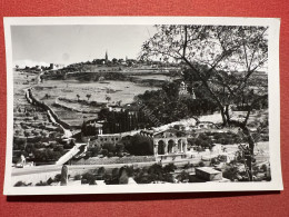 Cartolina - Israel - Jerusalem - Mount Of Olives And Gethsemane - 1950 Ca. - Unclassified