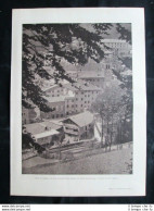 Pieve Di Cadore: La Casa Di Tiziano + Sala Museo Di Tiziano  Stampa Del 1932 - Other & Unclassified