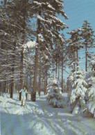 5969 - Ski-Längläufer Im Wald - 1981 - Cartes Géographiques