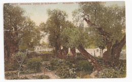 Palestine; Jerusalem. Jardin De Gethsemani.   Dated 1908          (jer01) - Palästina