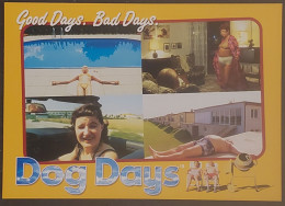 Carte Postale - Dog Days (film - Cinéma - Affiche) Good Days. Bad Days. - Affiches Sur Carte