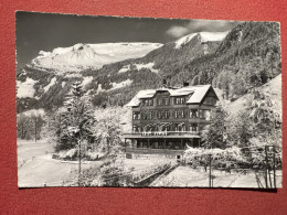 Cartolina - Svizzera - Hotel Pension Alpina - Grindelwald - 1950 Ca. - Unclassified