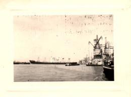 Bateau - Photo Ancienne Originale - Cargo Navire De Commerce ? - 8x10,5 Cm - Commerce