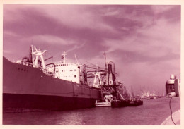 Bateau - Photo Ancienne Originale - Cargo Navire De Commerce INGWI - Péniches - 9x12,5 Cm - Commerce