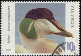 Roumanie 2022 Oblitéré Used Canard Plongeur Somateria Mollissima Eider à Duvet Y&T RO 6896 SU - Used Stamps