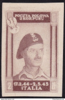 1946 CORPO POLACCO, N° 8Bb 2z. Bruno Cioccolato Chiaro CARTA SPESSA (*) - 1946-47 Corpo Polacco