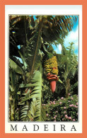 A483 / 001 MADEIRA Bananas - Unclassified