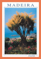 A481 / 293 MADEIRA Funchal Vue Du Jardin Botanique Sur Le Port - Unclassified