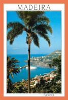 A481 / 291 MADEIRA Funchal Vua Occidentale ( Bateau ) - Unclassified