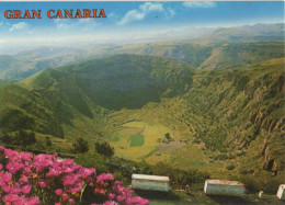 132569 - Gran Canaria - Spanien - Caldera De Bandama - Gran Canaria