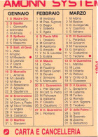 Calendarietto - Amonn System - Bolzano - Merano - Anno 1994 - Formato Piccolo : 1991-00