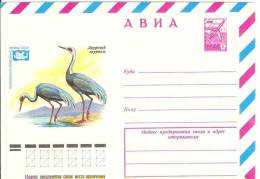Russia USSR 1978 Fauna Bird Birds White-naped Crane Weißnackenkranich - 1970-79