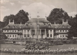 124551 - Pillnitz (OT Von Dresden) - Bergpalais - Pillnitz