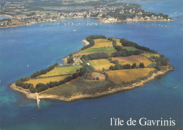 56  LARMOR-BADEN île De GAVRINIS  (Scan R/V) N°   11   \MS9033 - Larmor-Plage