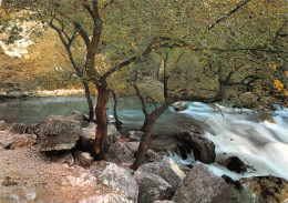 84 Fontaine-de-Vaucluse  La Première Cascade Du Gouffre  (Scan R/V) N°   20   \MS9079 - L'Isle Sur Sorgue