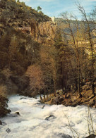 84 Fontaine-de-Vaucluse  Le Torrent Tumultueux    (Scan R/V) N°   16   \MS9079 - L'Isle Sur Sorgue