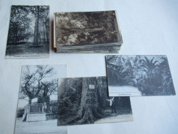 AGRICULTURE - ARBRES REMARQUABLES - Lot De 46 Cartes - Colecciones Y Lotes