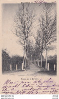 B8-60) FORMERIE (OISE) AVENUE DE LA GARENNE  - ( OBLITERATION DE 1903  -  2 SCANS ) - Formerie