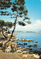 6-CAP D ANTIBES-N°C-3659-D/0043 - Cap D'Antibes - La Garoupe