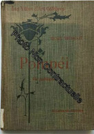 POMPEI VIE PUBLIQUE - Otros & Sin Clasificación